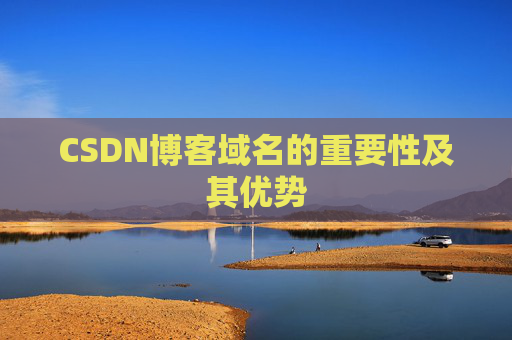 CSDN博客域名的重要性及其优势